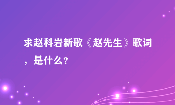 求赵科岩新歌《赵先生》歌词，是什么？