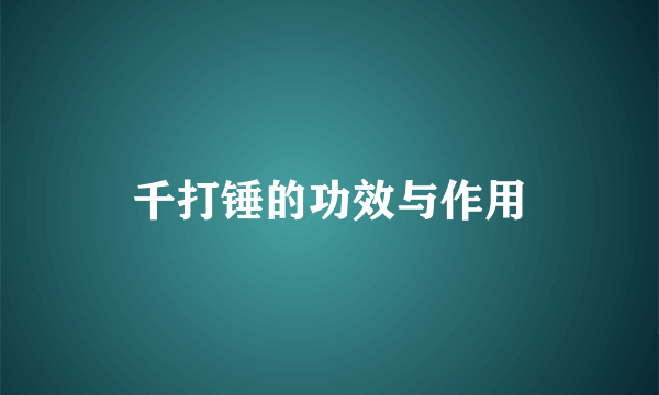 千打锤的功效与作用