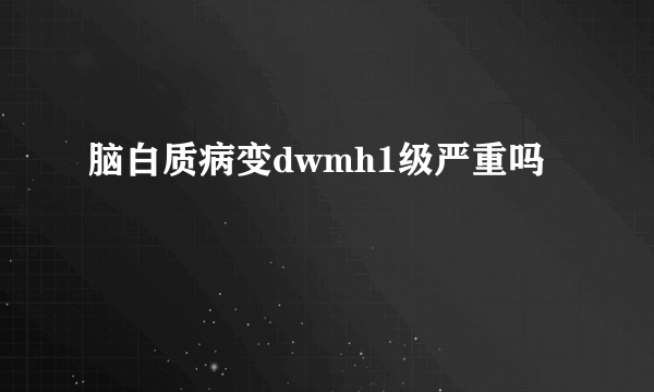 脑白质病变dwmh1级严重吗