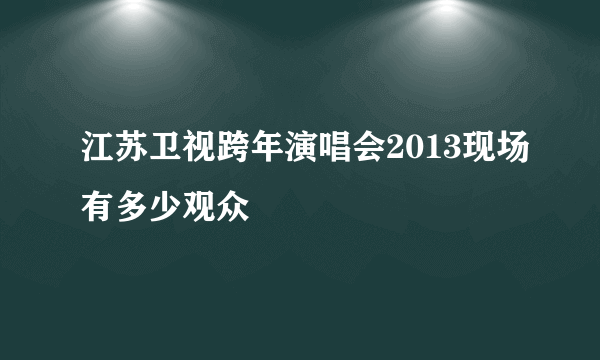 江苏卫视跨年演唱会2013现场有多少观众