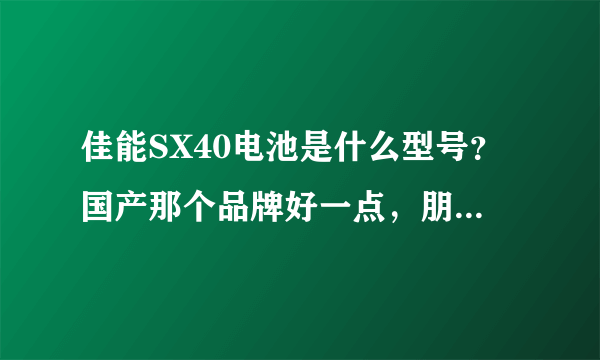 佳能SX40电池是什么型号？国产那个品牌好一点，朋友介绍沣标怎么样？