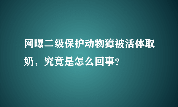 网曝二级保护动物獐被活体取奶，究竟是怎么回事？