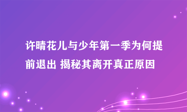 许晴花儿与少年第一季为何提前退出 揭秘其离开真正原因