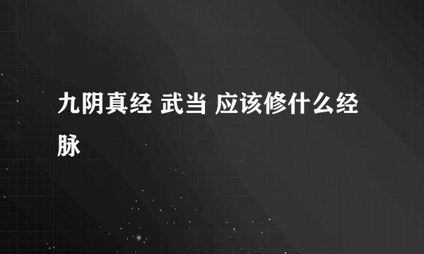 九阴真经 武当 应该修什么经脉