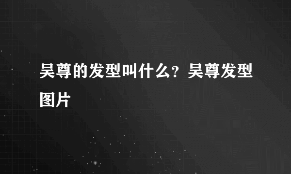 吴尊的发型叫什么？吴尊发型图片