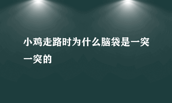 小鸡走路时为什么脑袋是一突一突的