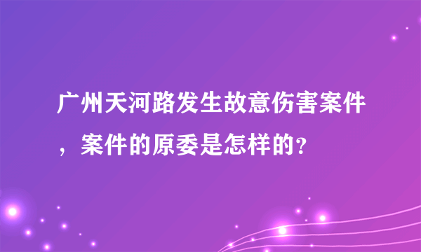 广州天河路发生故意伤害案件，案件的原委是怎样的？