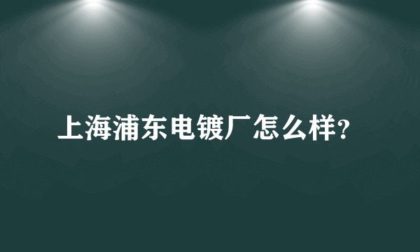 上海浦东电镀厂怎么样？