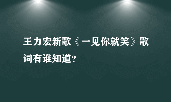 王力宏新歌《一见你就笑》歌词有谁知道？