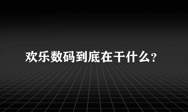 欢乐数码到底在干什么？