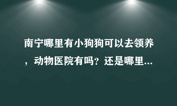 南宁哪里有小狗狗可以去领养，动物医院有吗？还是哪里？不要说那些什么网站，我看了也没什么用，都是卖狗的