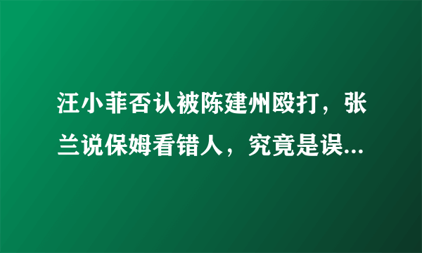 汪小菲否认被陈建州殴打，张兰说保姆看错人，究竟是误会还是另有隐情？