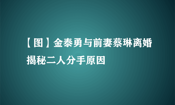 【图】金泰勇与前妻蔡琳离婚 揭秘二人分手原因