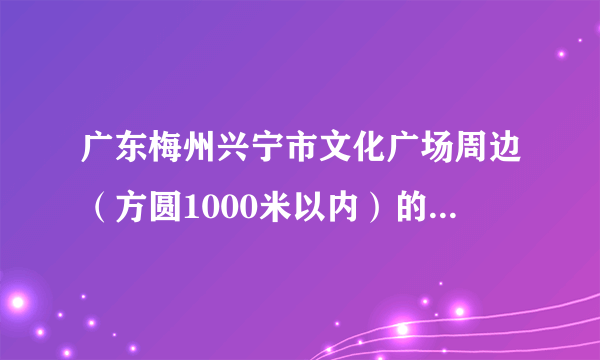 广东梅州兴宁市文化广场周边（方圆1000米以内）的店铺（店面宽4~5米，内部长12米以内）的租金目前是多少？