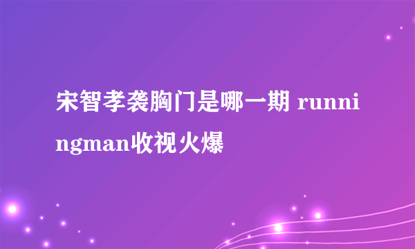 宋智孝袭胸门是哪一期 runningman收视火爆