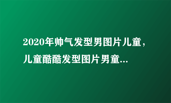 2020年帅气发型男图片儿童，儿童酷酷发型图片男童2020