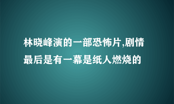 林晓峰演的一部恐怖片,剧情最后是有一幕是纸人燃烧的