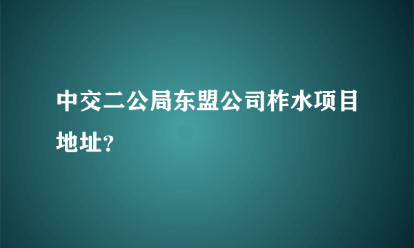 中交二公局东盟公司柞水项目地址？