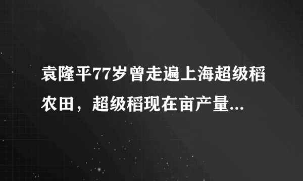 袁隆平77岁曾走遍上海超级稻农田，超级稻现在亩产量能达到多少？