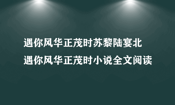 遇你风华正茂时苏黎陆宴北 遇你风华正茂时小说全文阅读