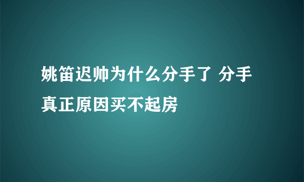 姚笛迟帅为什么分手了 分手真正原因买不起房