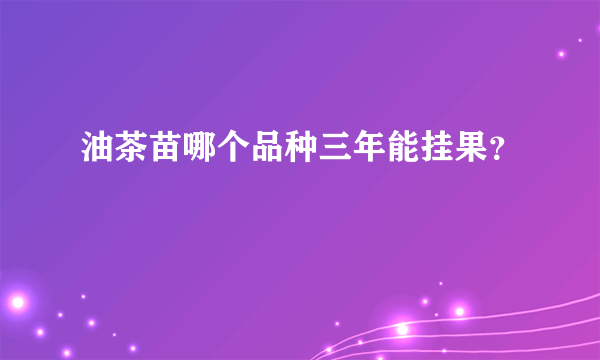 油茶苗哪个品种三年能挂果？