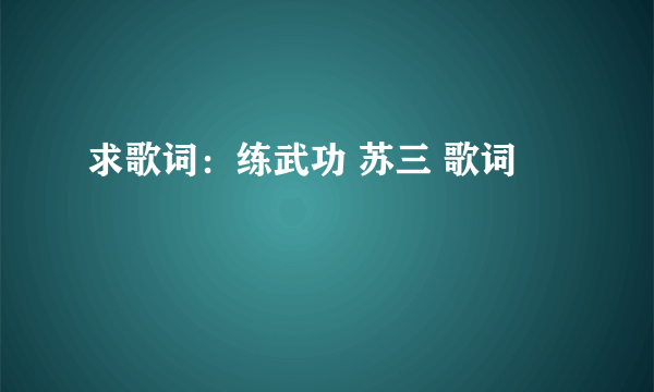 求歌词：练武功 苏三 歌词