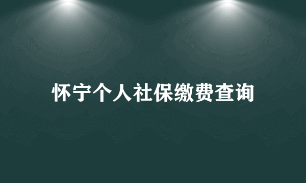 怀宁个人社保缴费查询