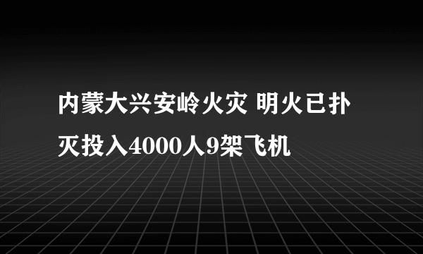 内蒙大兴安岭火灾 明火已扑灭投入4000人9架飞机