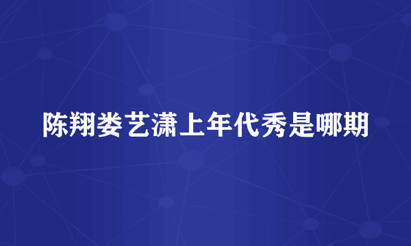 陈翔娄艺潇上年代秀是哪期