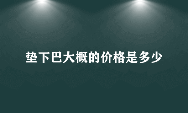 垫下巴大概的价格是多少