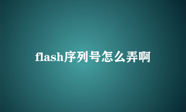 flash序列号怎么弄啊