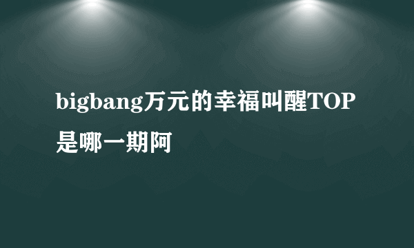 bigbang万元的幸福叫醒TOP是哪一期阿