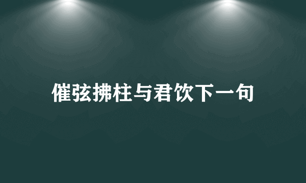 催弦拂柱与君饮下一句