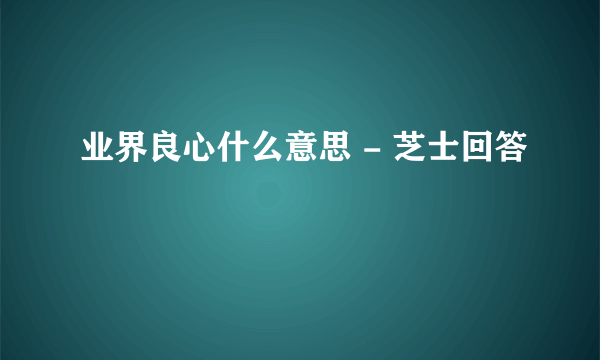 业界良心什么意思 - 芝士回答