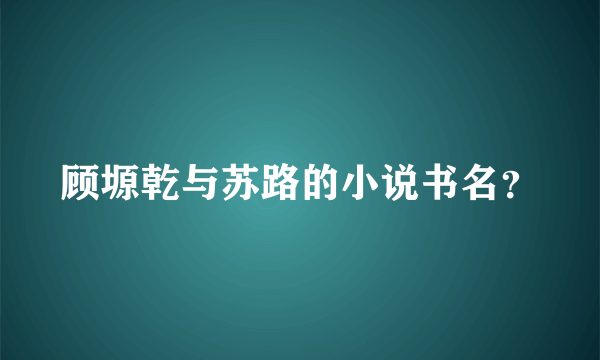 顾塬乾与苏路的小说书名？