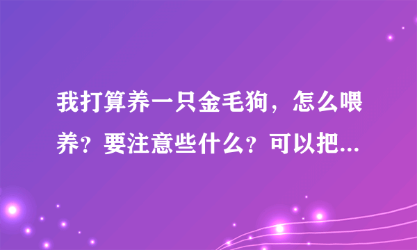 我打算养一只金毛狗，怎么喂养？要注意些什么？可以把它放到车库里吗？