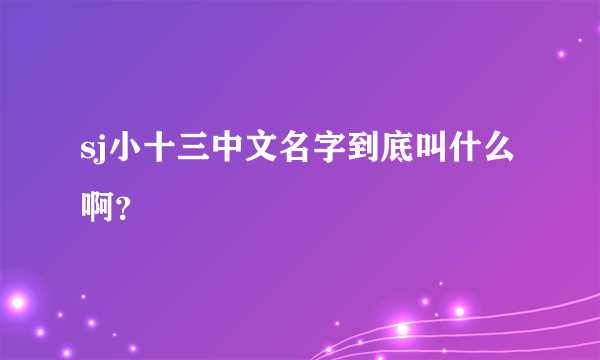 sj小十三中文名字到底叫什么啊？