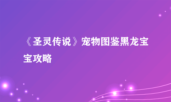 《圣灵传说》宠物图鉴黑龙宝宝攻略