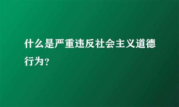 什么是严重违反社会主义道德行为？