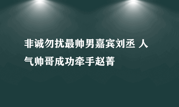 非诚勿扰最帅男嘉宾刘丞 人气帅哥成功牵手赵菁