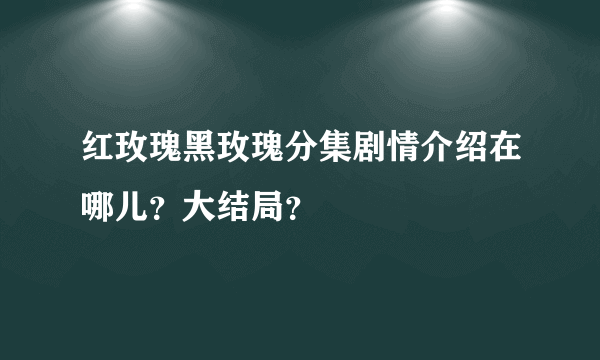 红玫瑰黑玫瑰分集剧情介绍在哪儿？大结局？