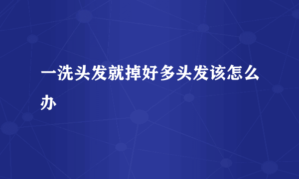 一洗头发就掉好多头发该怎么办