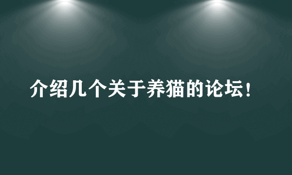 介绍几个关于养猫的论坛！