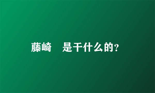 藤崎薫是干什么的？