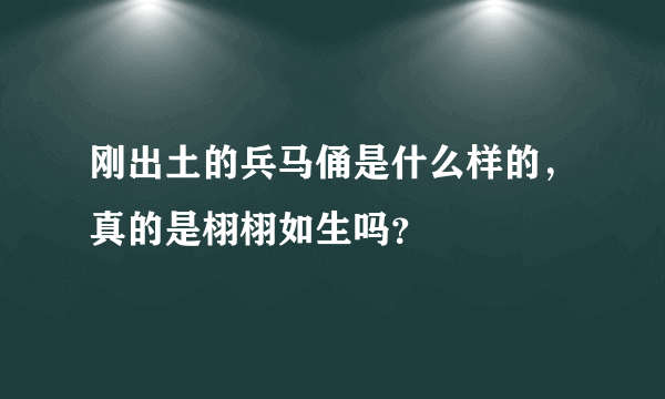 刚出土的兵马俑是什么样的，真的是栩栩如生吗？