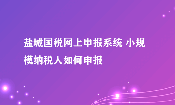 盐城国税网上申报系统 小规模纳税人如何申报