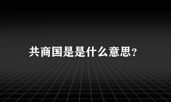 共商国是是什么意思？