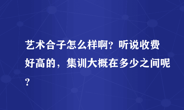 艺术合子怎么样啊？听说收费好高的，集训大概在多少之间呢？