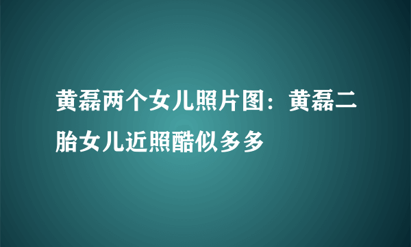 黄磊两个女儿照片图：黄磊二胎女儿近照酷似多多